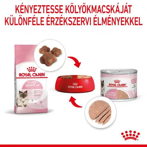 Royal Canin Babycat Instinctive 195g - kölyök macska pépes nedves táp