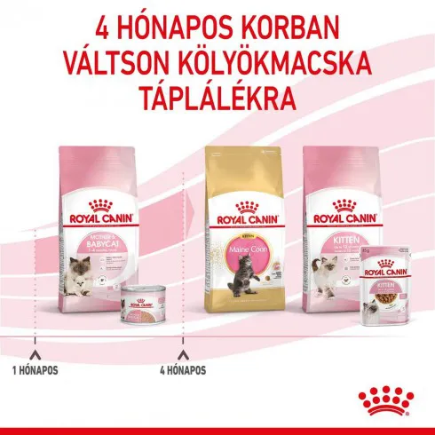 Royal Canin Babycat Instinctive 195g - kölyök macska pépes nedves táp