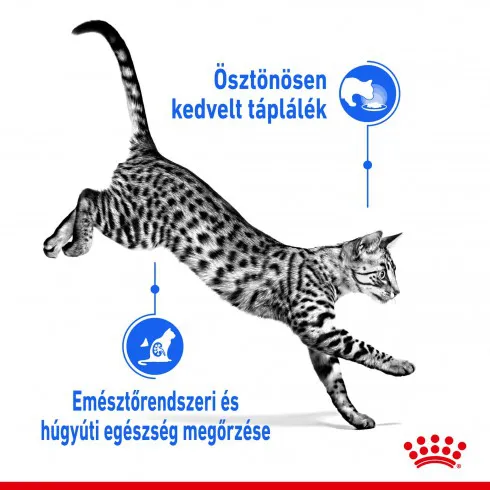 Royal Canin Indoor Gravy 12x85g - lakásban tartott felnőtt macska szószos nedves táp