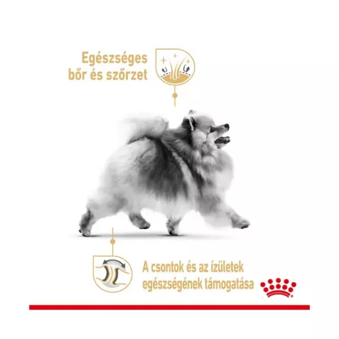 Royal Canin Pomeranian Adult 12x85g - Pomerániai törpespicc felnőtt kutya nedves táp