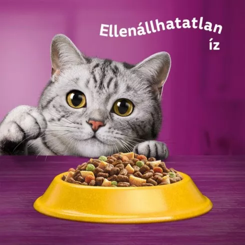 Whiskas Száraz Csirke -Májas Falat 300g