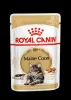 Royal Canin Maine Coon Adult 12x85g - Maine Coon felnőtt macska nedves táp