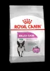 Royal Canin Mini Relax Care 1kg-száraz táp felnőtt kutyáknak, változásokhoz való alkalmazkodáshoz