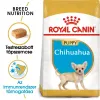 Royal Canin Chihuahua Junior 500g-Csivava kölyök kutya száraz táp