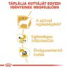 Royal Canin Chihuahua Adult 12x85g - Csivava felnőtt kutya nedves táp