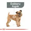 Royal Canin Mini Dental Care 8kg-száraz táp felnőtt kutyák részére fogkőképződés csökkentéséért