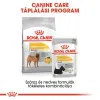 Royal Canin Medium Dermacomfort 10kg-száraz táp bőrirritációra hajlamos felnőtt kutyáknak