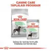 Royal Canin Maxi Digestive Care 10kg-száraz táp érzékeny emésztésű felnőtt kutyáknak