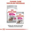 Royal Canin Mini Exigent 1kg-száraz táp válogatós felnőtt kutyáknak