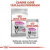 Royal Canin Mini Relax Care 1kg-száraz táp felnőtt kutyáknak, változásokhoz való alkalmazkodáshoz