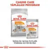 Royal Canin Coat Beauty Care 85g-nedves táp felnőtt kutyáknak az egészségesebb szőrért és bőrért