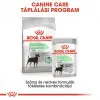 Royal Canin Digestive Care 85g - nedves táp érzékeny emésztésű felnőtt kutyák részére