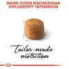 Royal Canin Maine Coon Adult 400g-Maine Coon felnőtt macska száraz táp