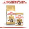 Royal Canin Maine Coon Adult 400g-Maine Coon felnőtt macska száraz táp