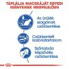 Royal Canin Indoor 400g-lakásban tartott felnőtt macska száraz táp