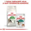 Royal Canin Outdoor 7+ 2kg-szabadba gyakran kijáró, aktív idősödő macska száraztáp