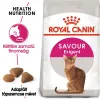 Royal Canin Savour Exigent 2kg-válogatós felnőtt macska száraz táp