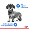 Royal Canin Mini Light Weight Care 1kg-száraz táp hízásra hajlamos felnőtt kutyáknak