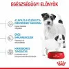 Royal Canin Mini Starter 1kg-száraz táp vemhes szuka és kistestű kölyök kutya részére