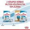 Royal Canin Mini Starter 1kg-száraz táp vemhes szuka és kistestű kölyök kutya részére