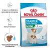 Royal Canin Mini Starter 1kg-száraz táp vemhes szuka és kistestű kölyök kutya részére