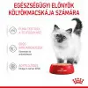 Royal Canin Kitten Loaf 85g - kölyök macska pépes nedves táp