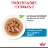 Royal Canin Maxi Puppy 140g-nedves táp nagytestű kölyök kutya részére