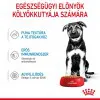 Royal Canin Maxi Puppy 140g-nedves táp nagytestű kölyök kutya részére