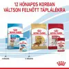 Royal Canin Medium Puppy 140g-nedves táp közepes testű kölyök kutya részére