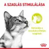 Royal Canin Sensory Smell Gravy 85g - szószos nedves táp felnőtt macskák részére