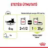 Royal Canin Sensory Smell Gravy 85g - szószos nedves táp felnőtt macskák részére