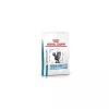 Royal Canin Veterinary Feline Skin & Coat száraz macskaeledel 0,4kg