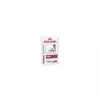 Royal Canin Veterinary Canine Renal alutasak 100g