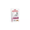 Royal Canin Veterinary Canine Early Renal alutasak 100g