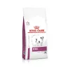 Royal Canin Veterinary Canine Renal Small Dog száraz kutyatáp 1,5kg RC292720