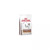 Royal Canin Veterinary Canine Gastrointestinal Low Fat Small Dog száraz kutyatáp 1,5kg