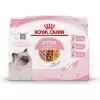 Royal Canin Kitten Multipack Mix 4*85g - kölyök macska nedves táp válogatás