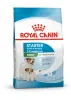 Royal Canin Mini Starter 1kg-száraz táp vemhes szuka és kistestű kölyök kutya részére